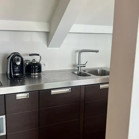Apartment Se Saunou A Terasou S Vyhledem Na Brno
