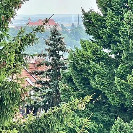 Se Saunou A Terasou S Vyhledem Na Appartement Brno