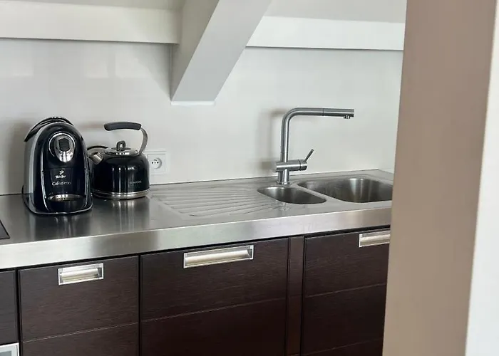 Apartment Se Saunou A Terasou S Vyhledem Na Brünn